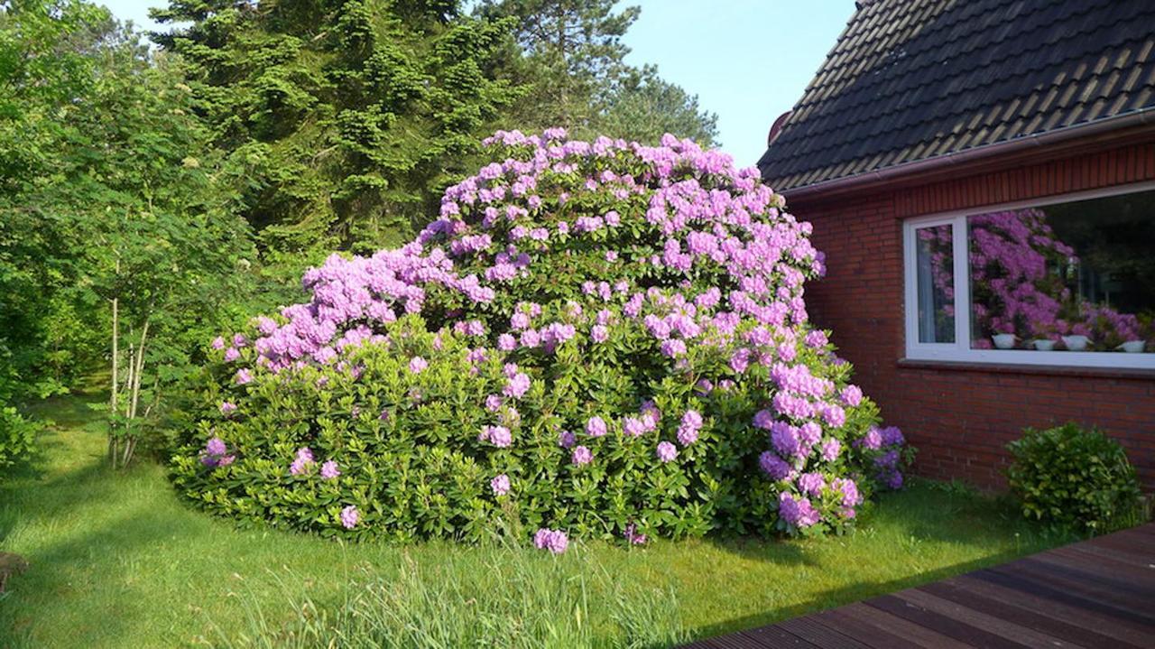 Ferienhaus *Koggenhues* Norddorf Bagian luar foto